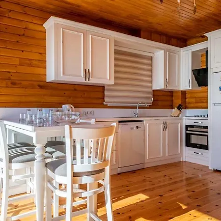 Eco Nilufer Villa *