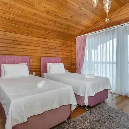 Villa Eco Nilufer